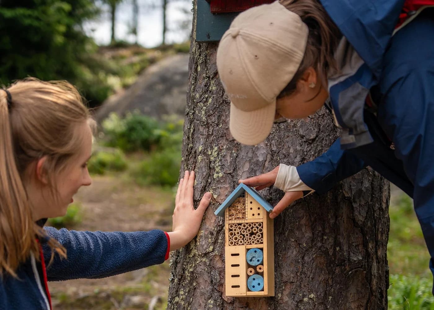 Birdhouse in Oslo forest