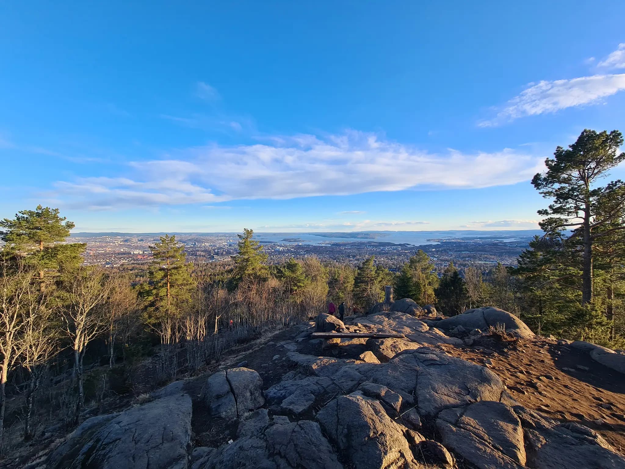 Hike to Oslo’s Best Forest Viewpoint