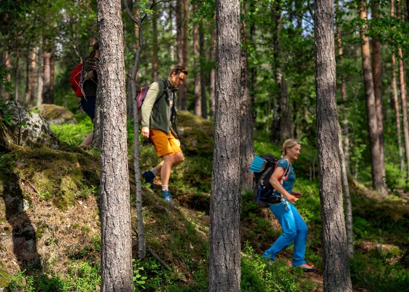 Hiker walking in forest