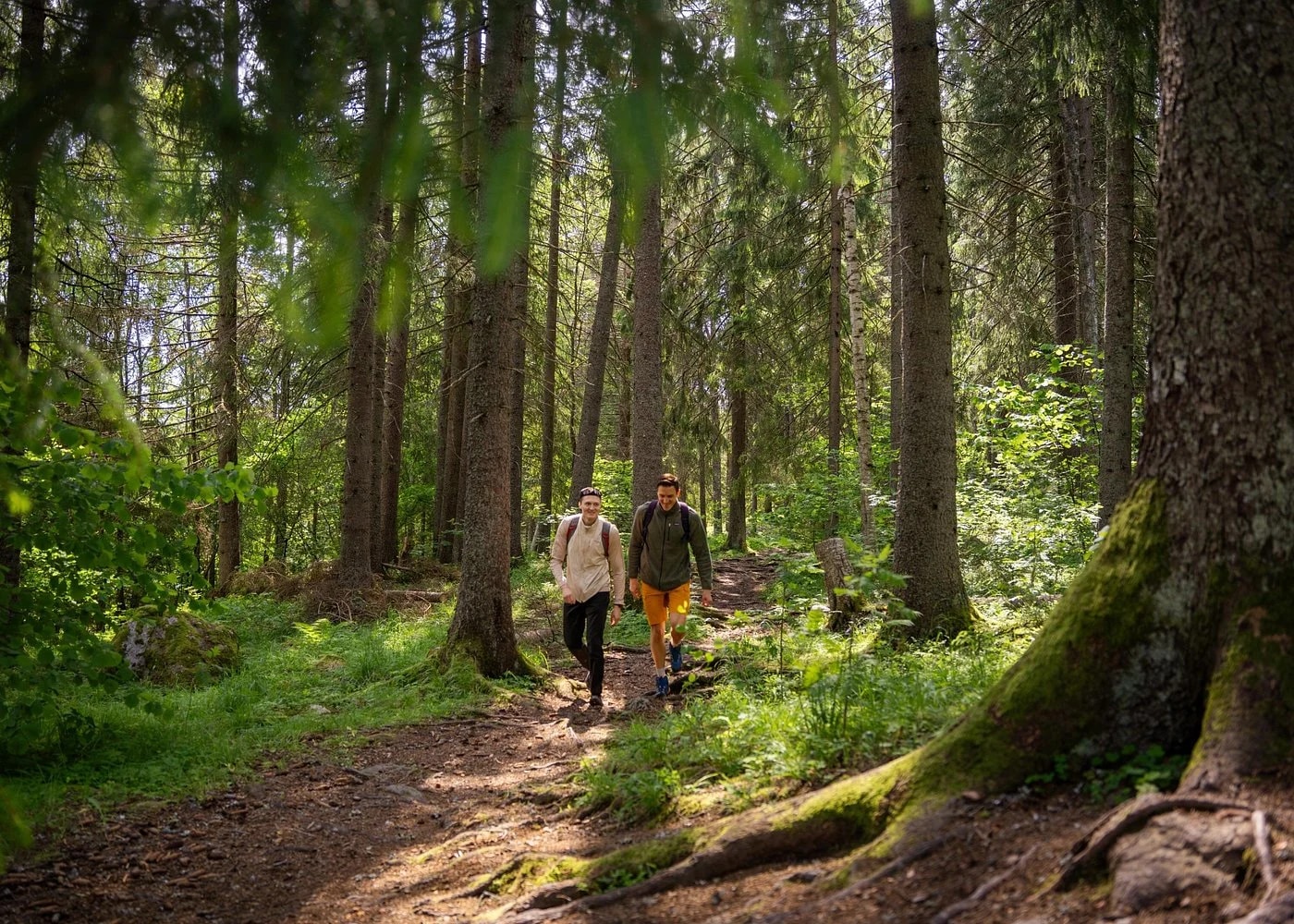 Sunny forest path near Sognsvann